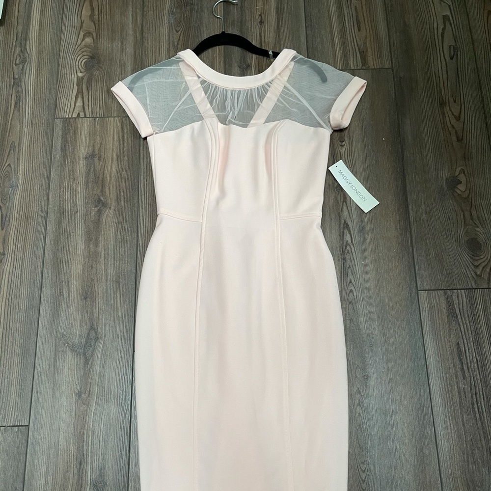 Maggy London The Illusion Dress - light pink